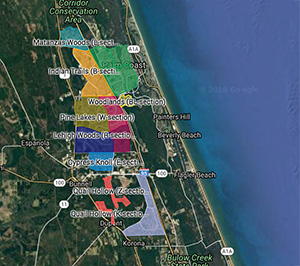Palm Coast Neighborhood Map 